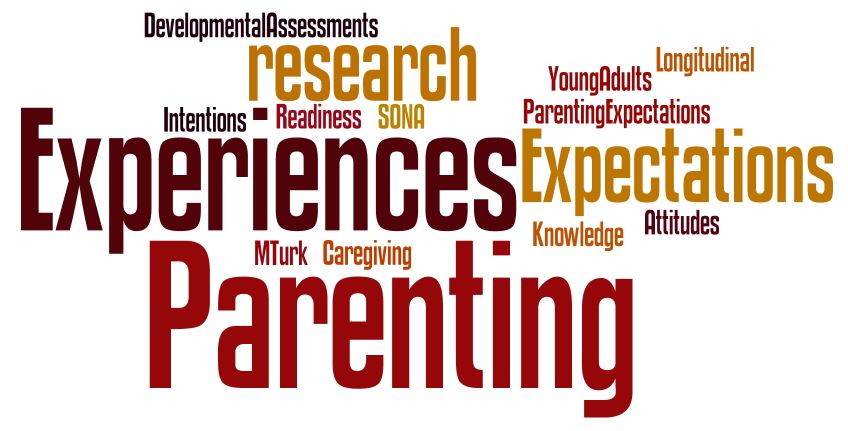 wordle explaining what Dr. Powell's main areas of research are