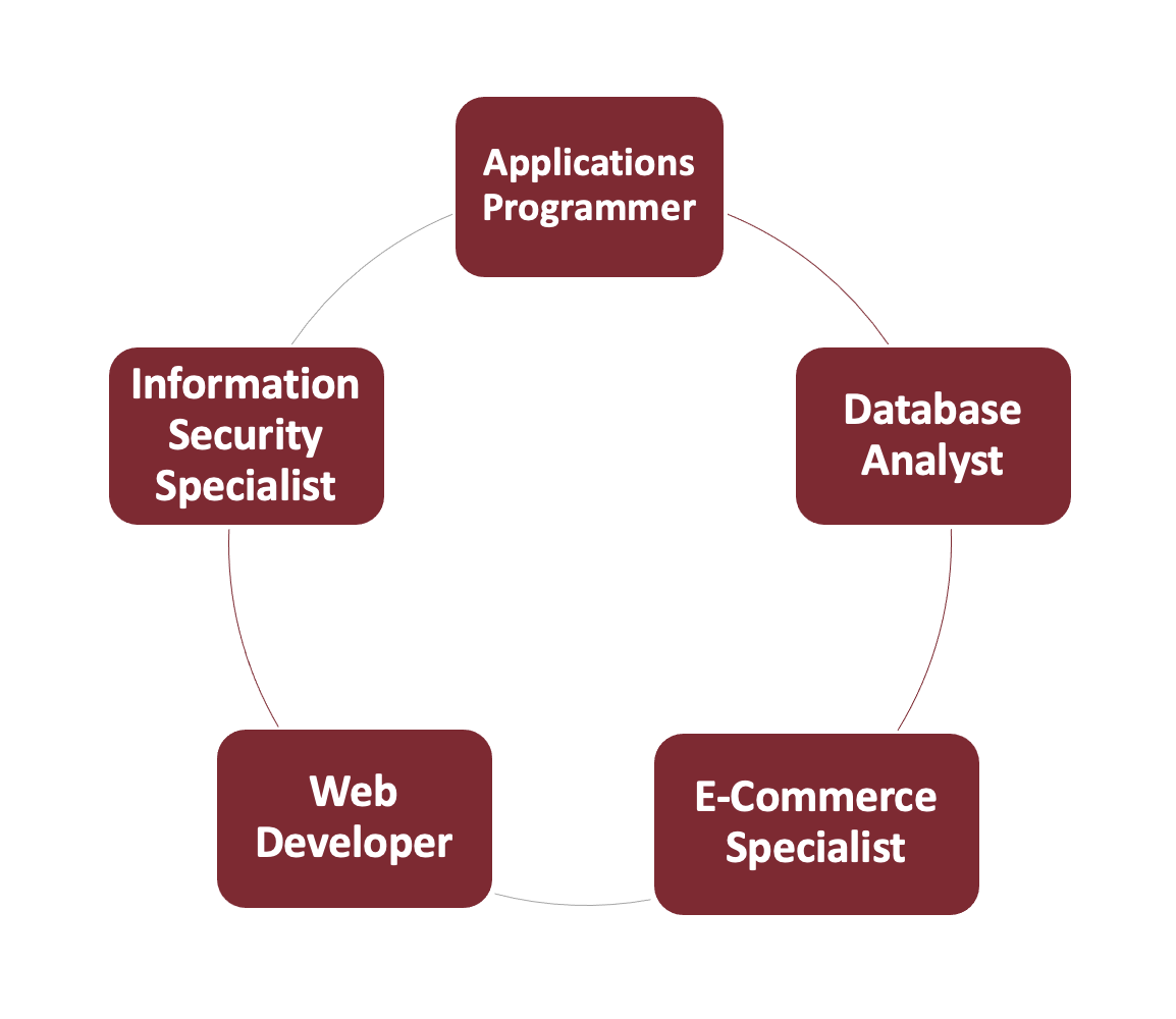 A circle with potential careers listed along it. The boxes read "application programmer," "database analyst," "e-commerce specialist," "web developer," and "information security specialist."