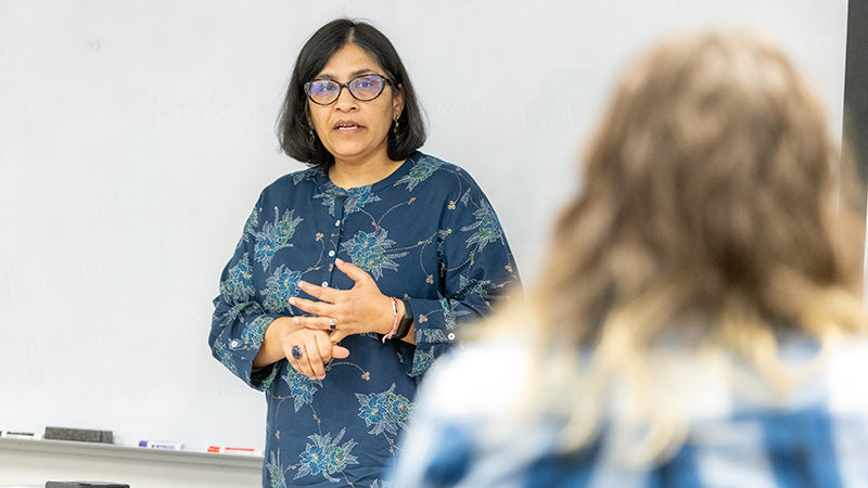 Professor Mehotra teaching in class