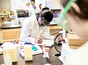 Students conducting research