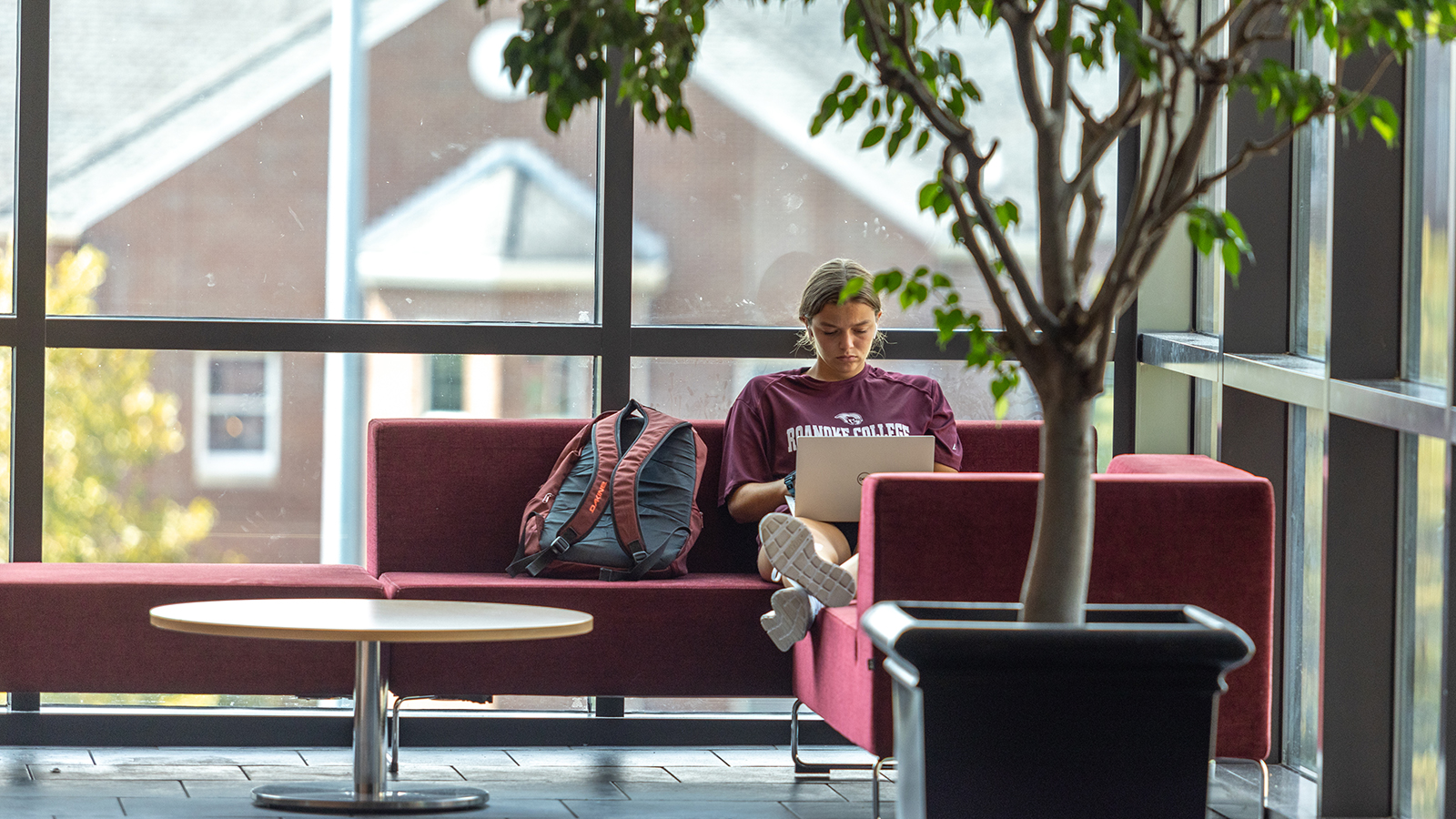 a student studying