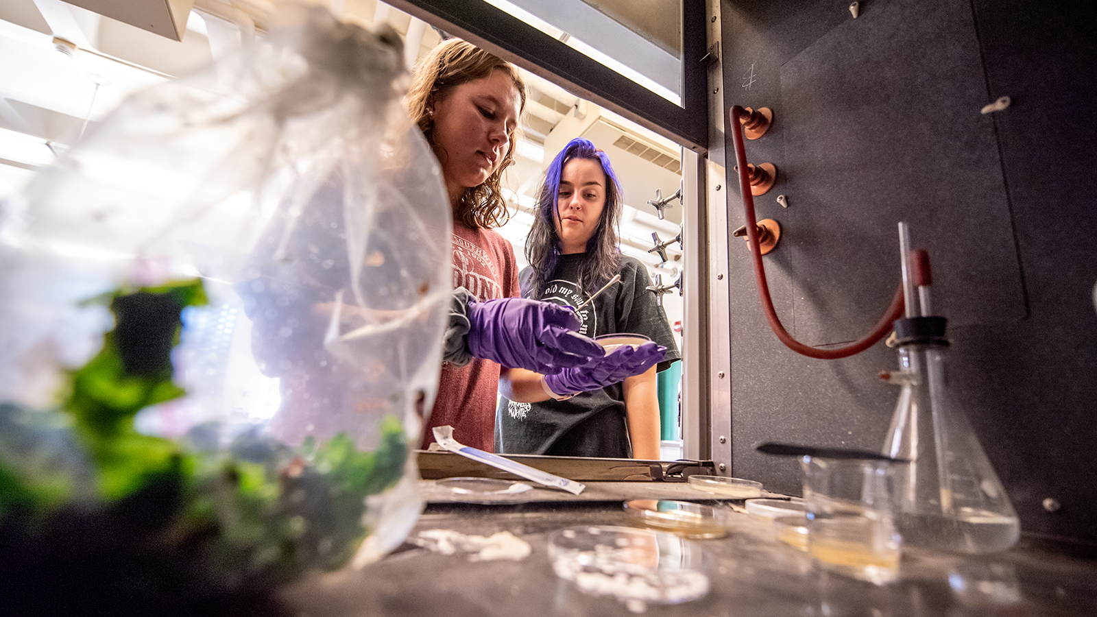 students in lab under hood