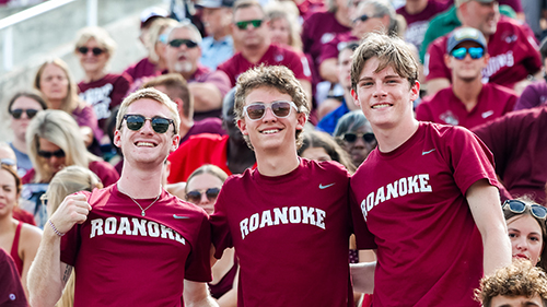 Fans at game
