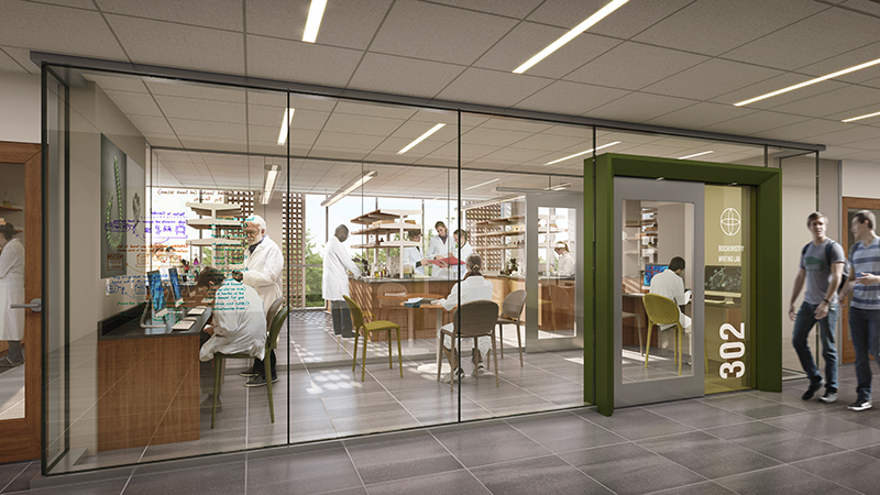 Lab Rendering