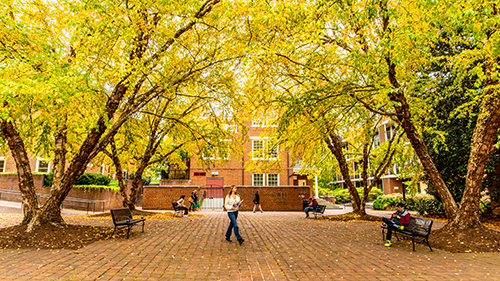 Science Plaza