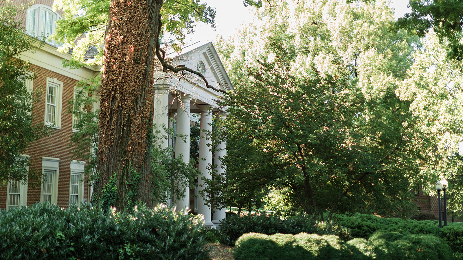 Fintel Library Exterior in summer