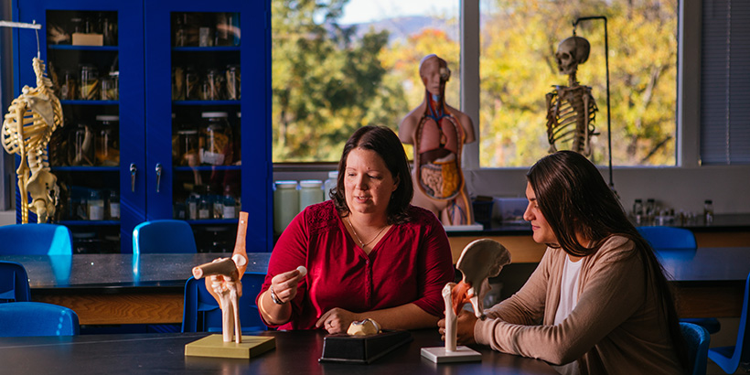 an anatomy student working with a professor