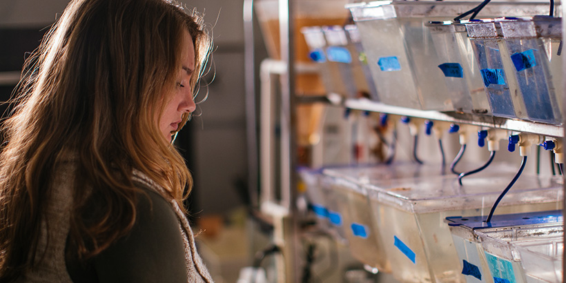 a biology student working on research