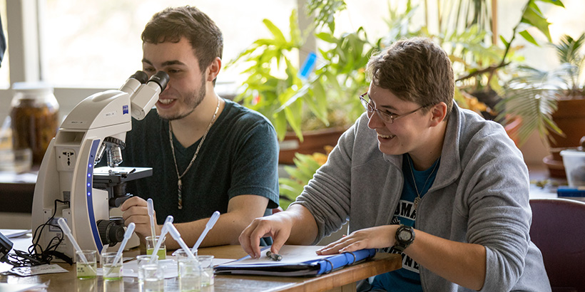 biology students using a microscope