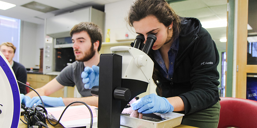 a biology student using a microscope