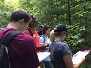 Students in woods