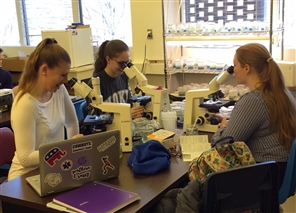 students looking into microscopes