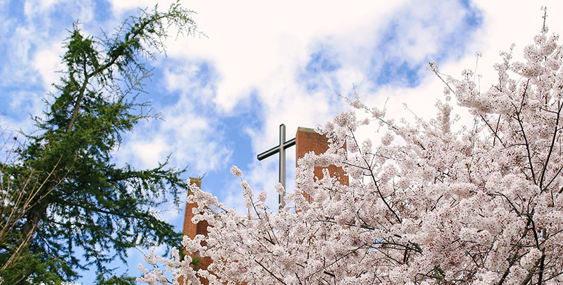 cross and flowering trees