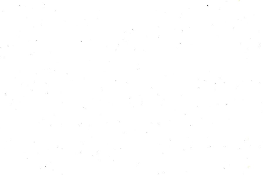 Blank