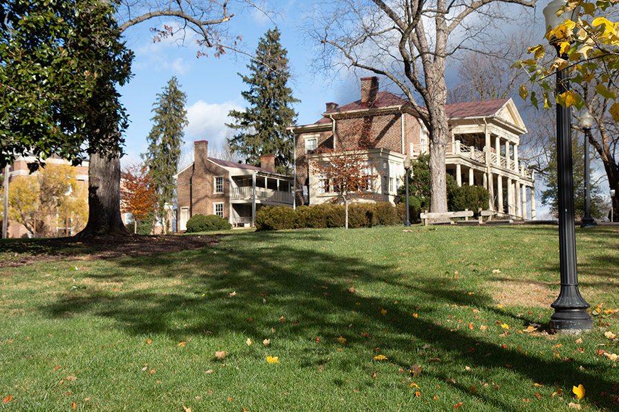 Monterey Lawn