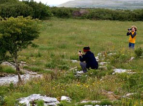 People taking pictures of nature