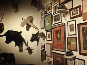 Paintings and stuffed animals hanging on walls
