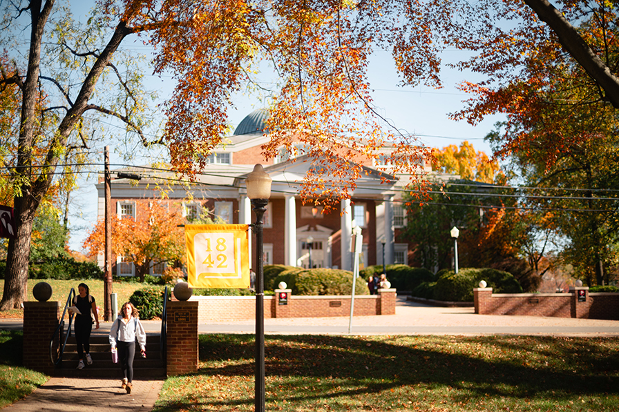 Fintel library in fall