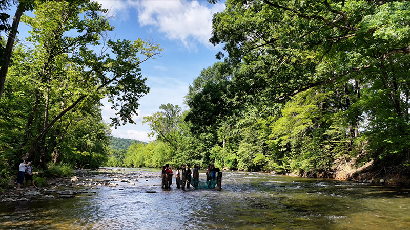 Students at the Roanoke River