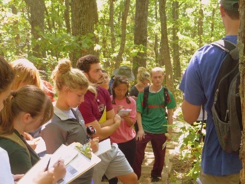 students collecting data in the woods