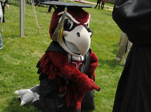rooney in a graduation cap and gown
