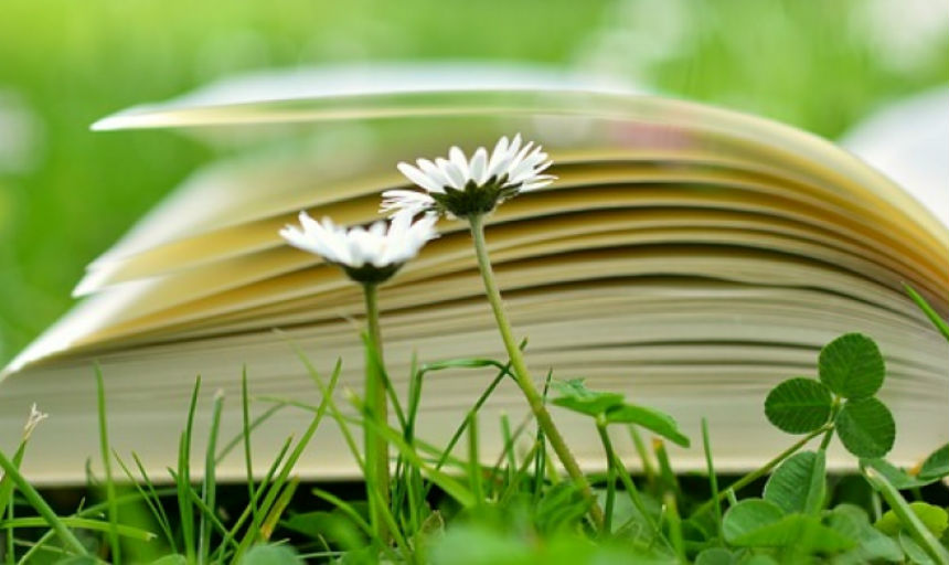 book in grass