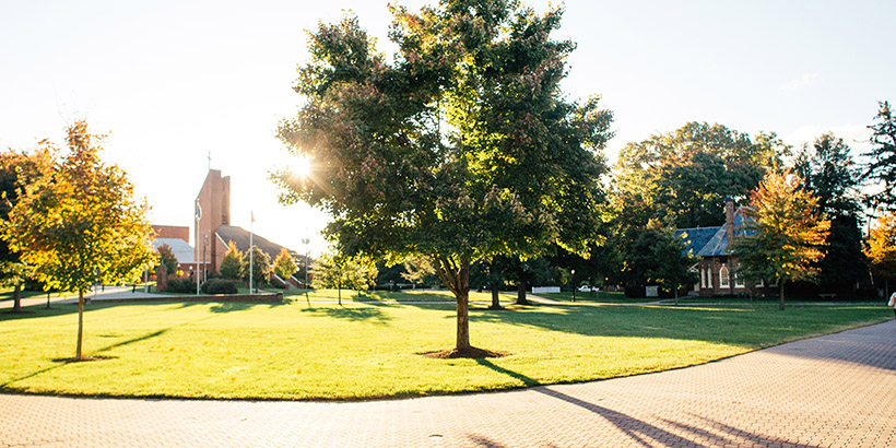 Picture of the back quad