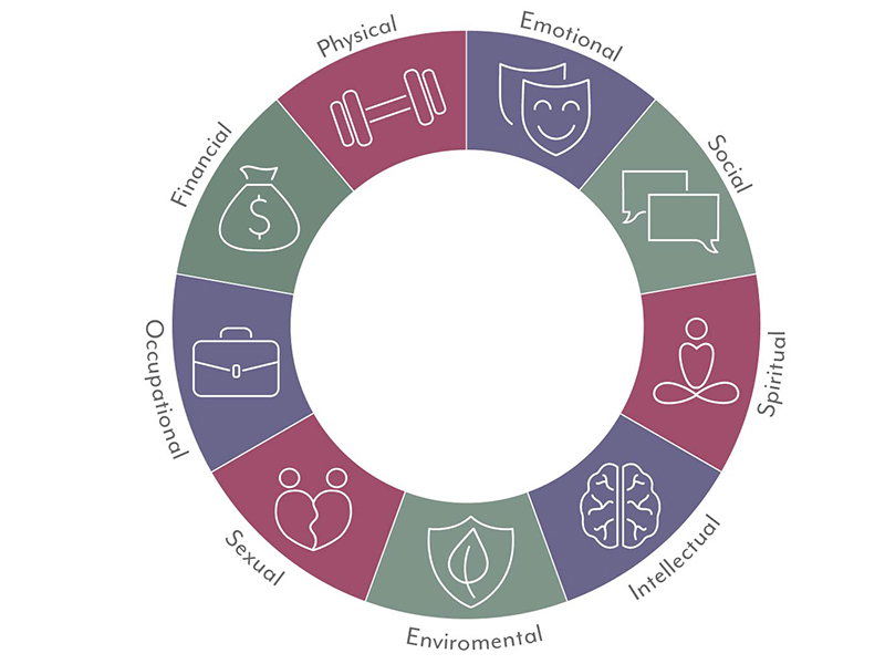 Graphic of a wheel highlighting the varied and interconnected types of wellness: Social, Spiritual, Intellectual, Environmental, Sexual, Occupational, Financial, Physical and Emotional