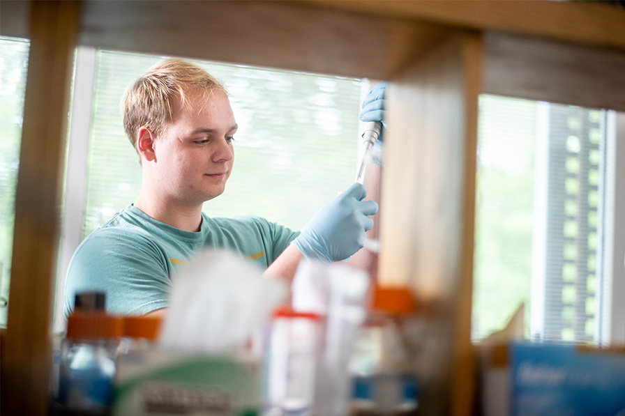 Student working in laboratory