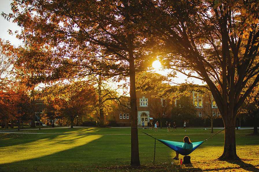 Sunset on RC campus with figure in hammock