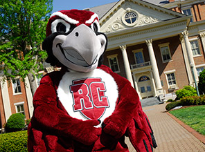 Rooney, the college mascot