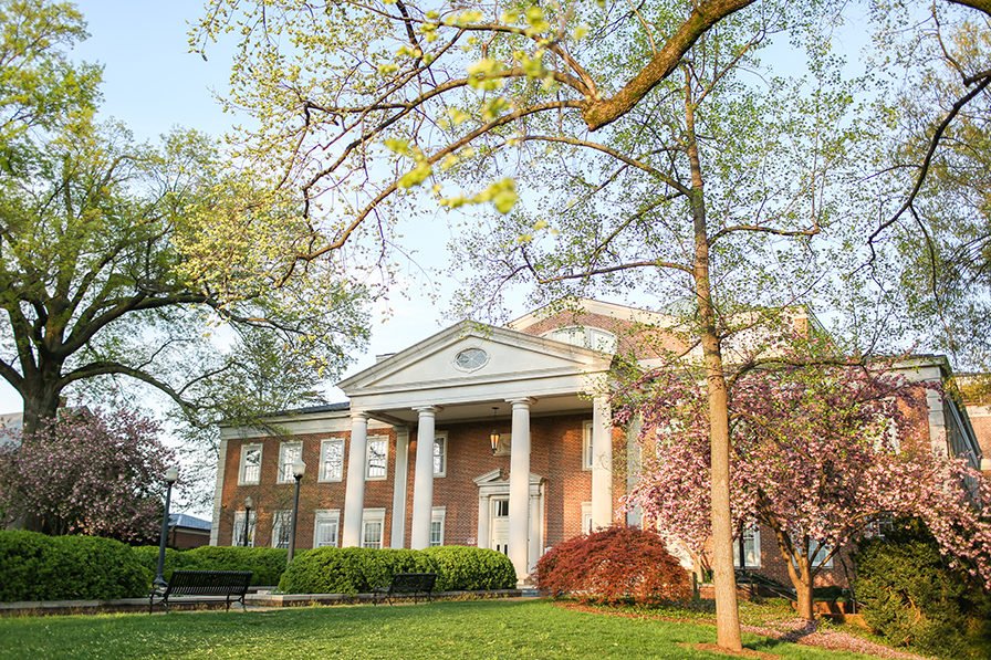 Fintel Library in spring