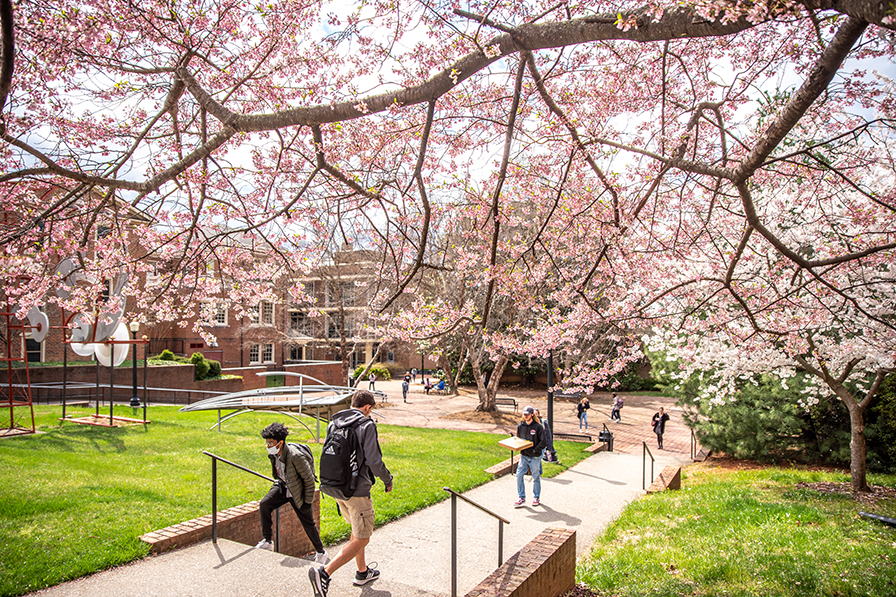 spring on campus