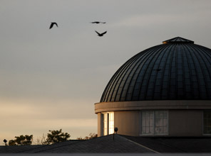 Shot of the top of the Fintel Library