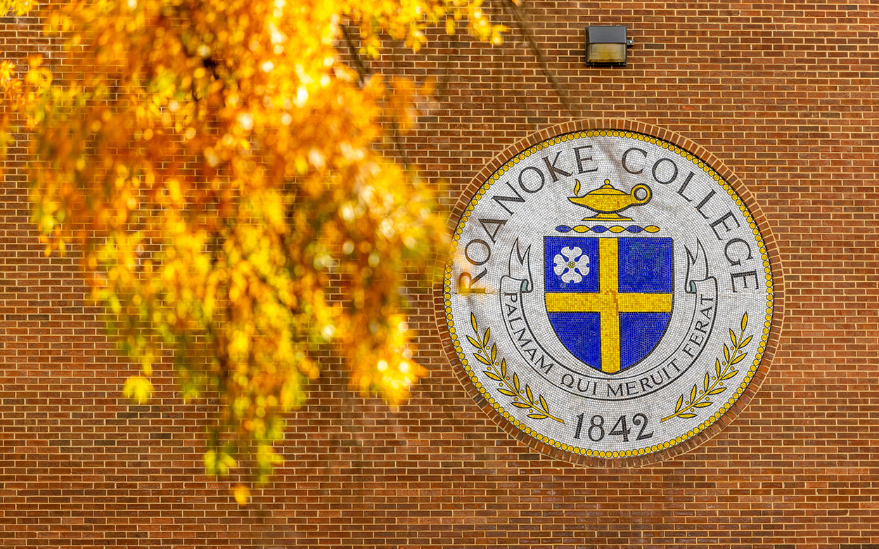 Photo of seal against a brick wall with yellow leaves on the left side.