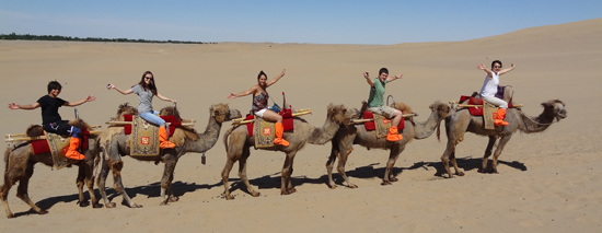 camels