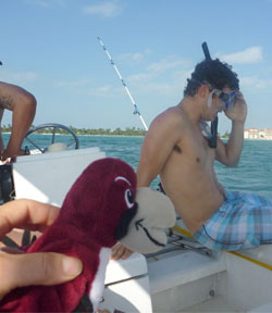 Little Rooney on a boat with someone about to go snorkeling