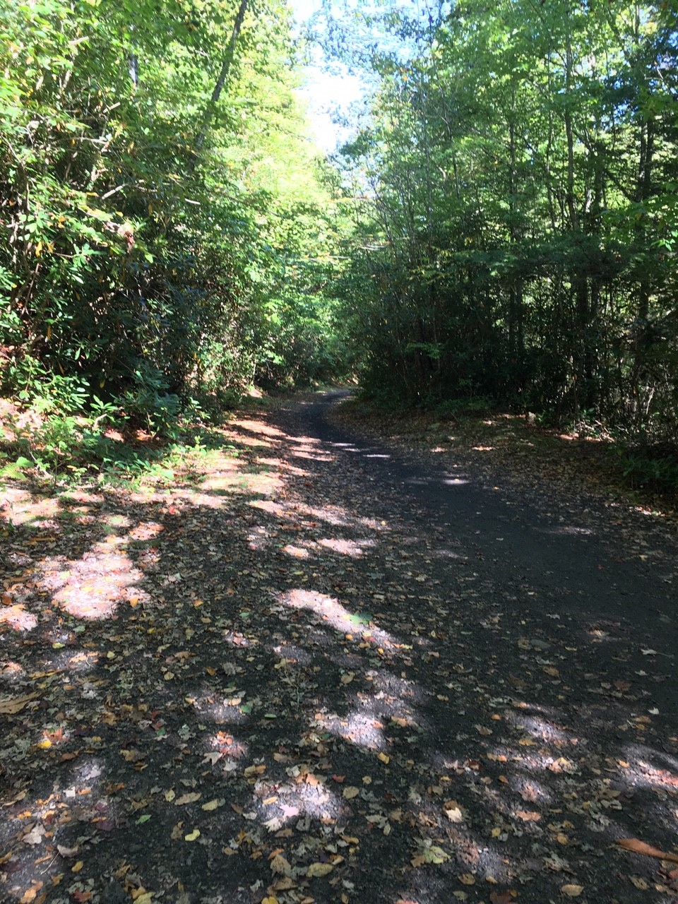 a hiking trail