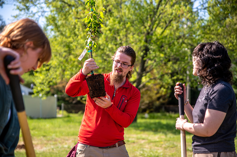 Students planting trees