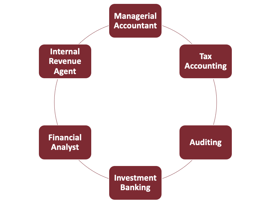 An image with a circle and boxes labeled "managerial accountant," "tax accounting," "auditing," "investment banking," "financial analyst," and "internal revenue agent" on the circle