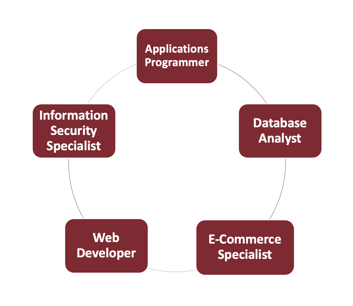 Business Information Systems