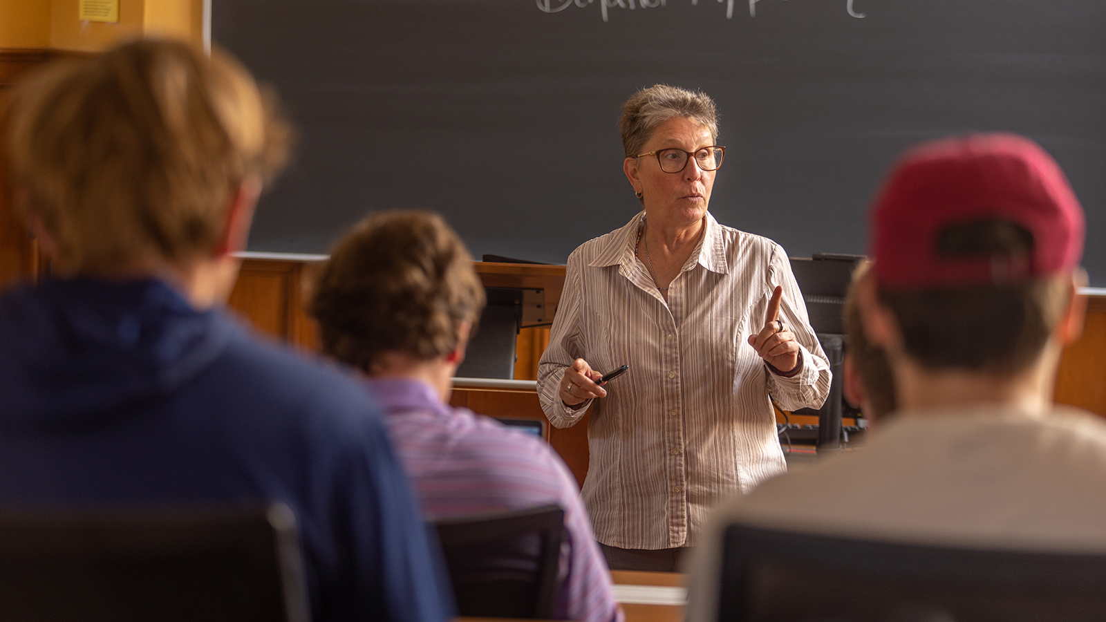 Professor teaches