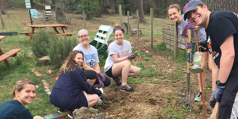 Students working in the school garden