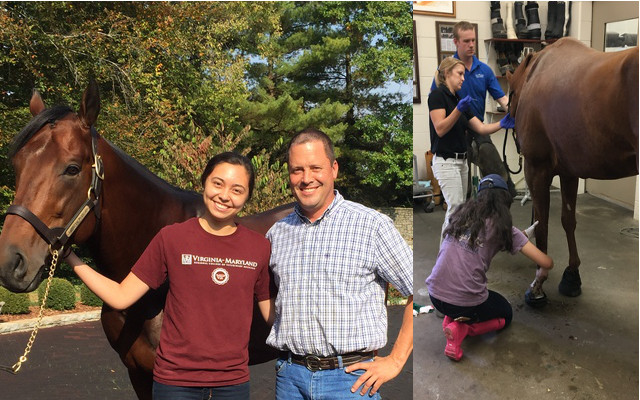 A collage of two photos: Holly with a man and a horse, and Holly bending down to examine a horse's hoof in a barn with two other people