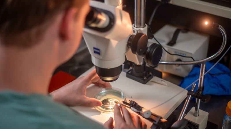 student at microscope