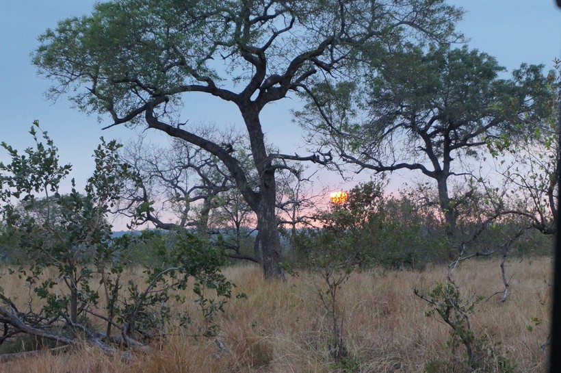 Sunset in African landscape