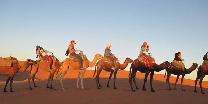 Students on camels in Morocco