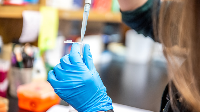 A blue-gloved hand holds a test tube