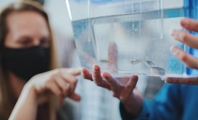 student looking at a fish in the lab