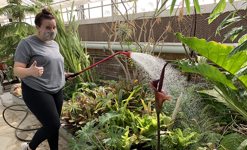 students watering plants in the greenhouse